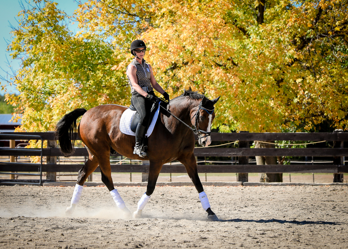 IMAGE: http://www.bwhip.com/galleries/BlogPhotos/Misc/6U4A1955.jpg