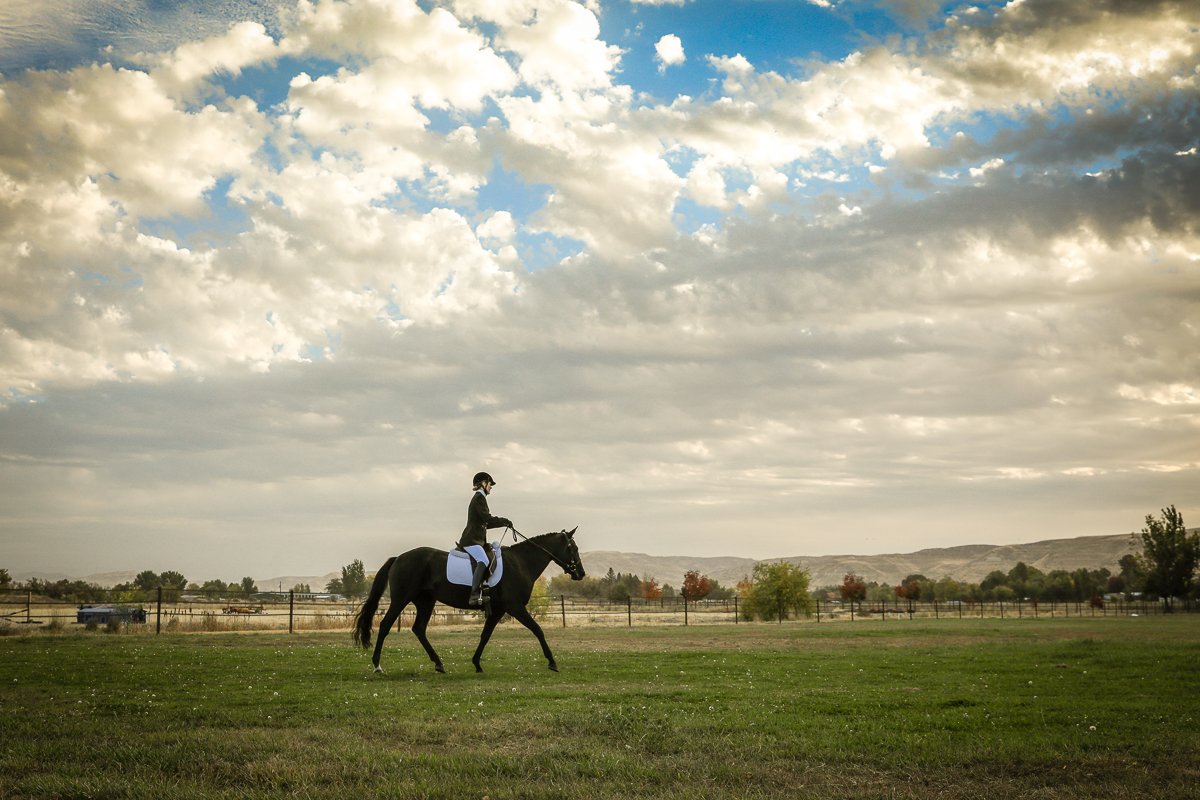 IMAGE: http://www.bwhip.com/galleries/Misc/6U4A0562-Edit.jpg