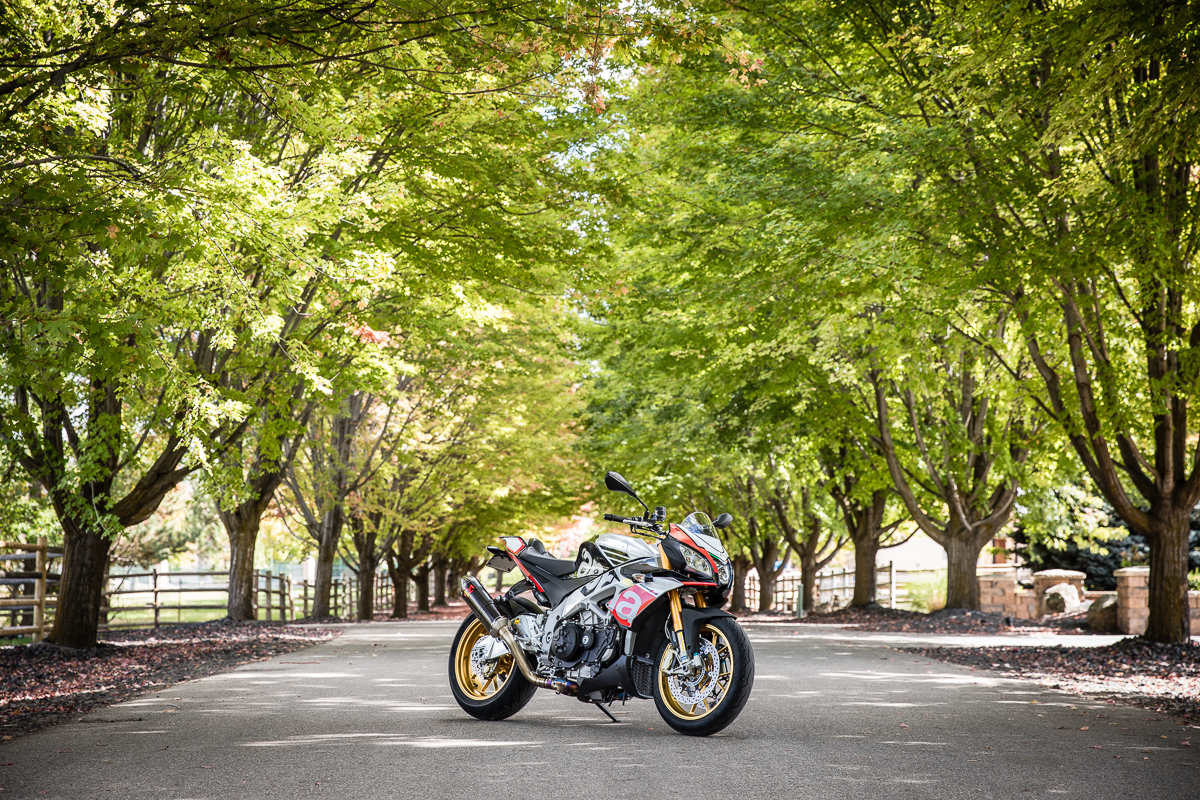 IMAGE: http://www.bwhip.com/galleries/Misc/ape%20(1%20of%201).jpg